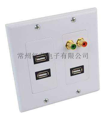 热销面板插座 多媒体应用 USB+RCA接口