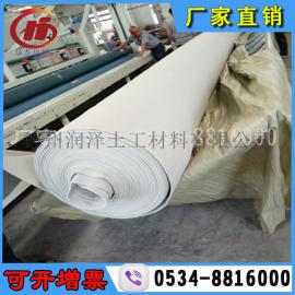 350克短丝土工布润泽厂家