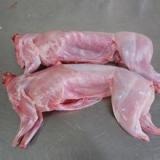 上海鑫福长期批发冷冻兔肉