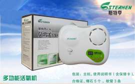 斯特亨A-96果蔬解毒机健康人必备神器