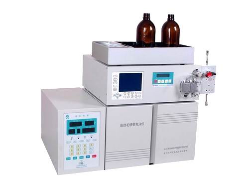 高效毛细管电泳仪（一体机）（CL3010）