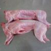 西安供应冷冻白条兔，兔肉，兔排腿批发