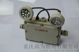 SW7154应急灯  SW7154防爆应急灯 LED防爆应急灯
