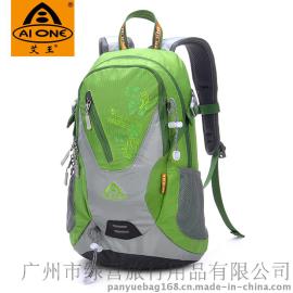 艾王AIONE2014新款20L骑行包户外旅行背包