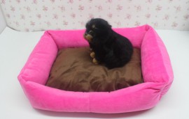 宠物窝垫批发小型狗狗犬泰迪比熊生产厂家爱汪