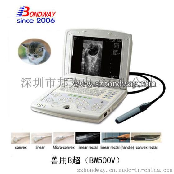 黑白兽用B超 数字超声诊断仪 全数字掌上B超 兽医用具 医疗用品