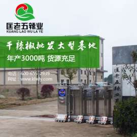 干辣椒加工厂 匡老五辣业 厂销更优惠