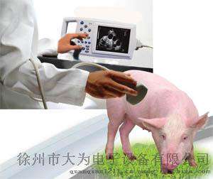 猪用B超机 厂家直销 母猪测孕仪 猪用B超机价格 B超机多少钱一台