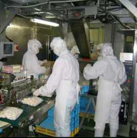 出国打工信息  出国劳务去欧美高薪赚钱