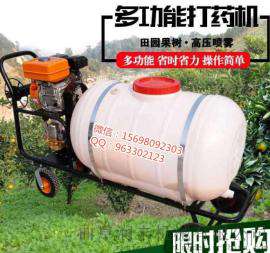 新款高效喷雾器 汽油打药机