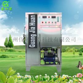高浓度臭氧水机-臭氧水机厂家