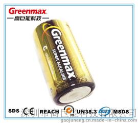 干电池LR14 2号电池 大号碱性电池 二号电池 C型 手电筒电池