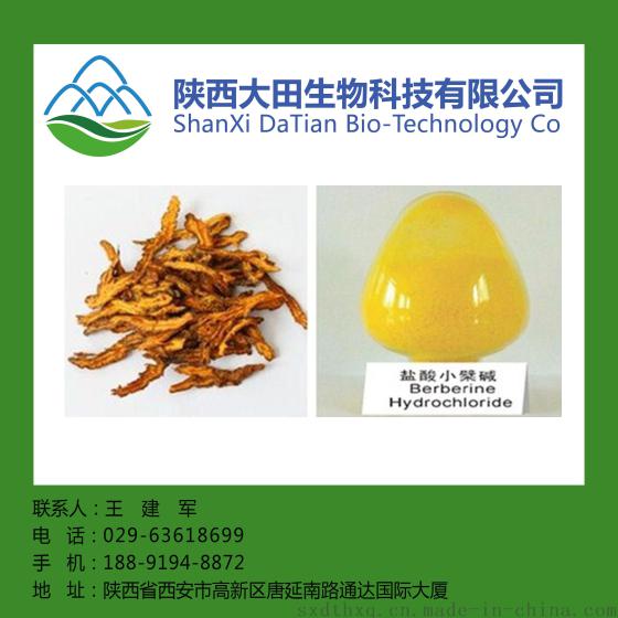 黄柏皮提取物 厂家直供