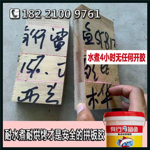 硬杂木拼板胶耐水煮4小时不开裂_耐侯性20年不开胶拼板胶有行鲨鱼