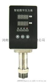 水库液位监控CS51CIIIREK8N1