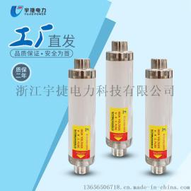XRNT1-12/250 10KV高压限流熔断器