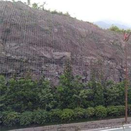 贵阳植物攀爬网 绿色钢塑护山边坡绿化挂网 钢塑土工格栅 生产厂家
