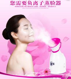 KD2331家用美容仪 蒸面机哪里可以定制