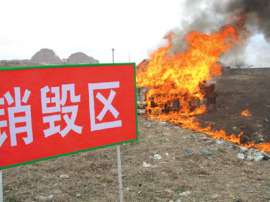 安全销毁旧档案，杭州销毁公司哪家好，食品销毁