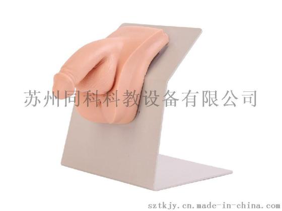 高级着装式男性男性导尿模型