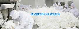 广东无尘布厂家直销上海JS-LW1009无尘擦拭布，净化无尘布，乱纹无尘布