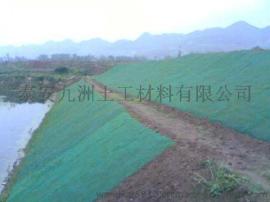 贵州三维植被网，三维土工网垫