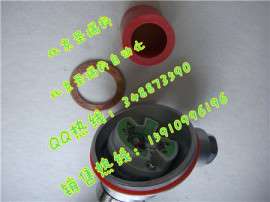 一体化温度变送器　SBWR-2480/231