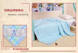 常久新款纯棉面料蚕丝被桑蚕丝学生夏凉被单双人空调被