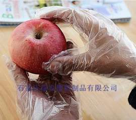 经济款一次性薄膜手套