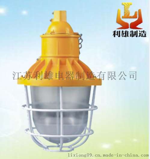 LED隔爆型投光灯/30w节能应急防爆投光灯厂家