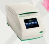 伯乐T100山东代理现货BIO-RAD