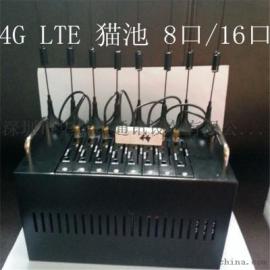 4G猫池 4G猫池价格：只要3300元