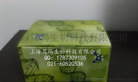 仓鼠甲状腺结合球蛋白(TBG)ELISA试剂盒