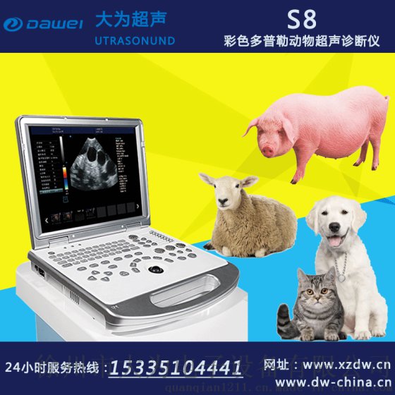 兽用B超机 生产厂家 动物B超机供应商 宠物B超机 兽用B超机价格