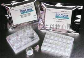 BD BIOCOAT Matrigel侵袭小室 354480/354481/354482
