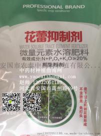 中药材种植指南网中药材增产花蕾抑制剂抑制开花促进根部生长