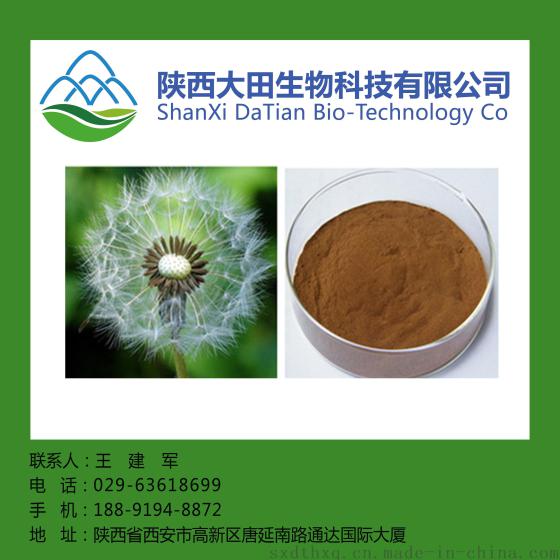 蒲公英提取物10: 1